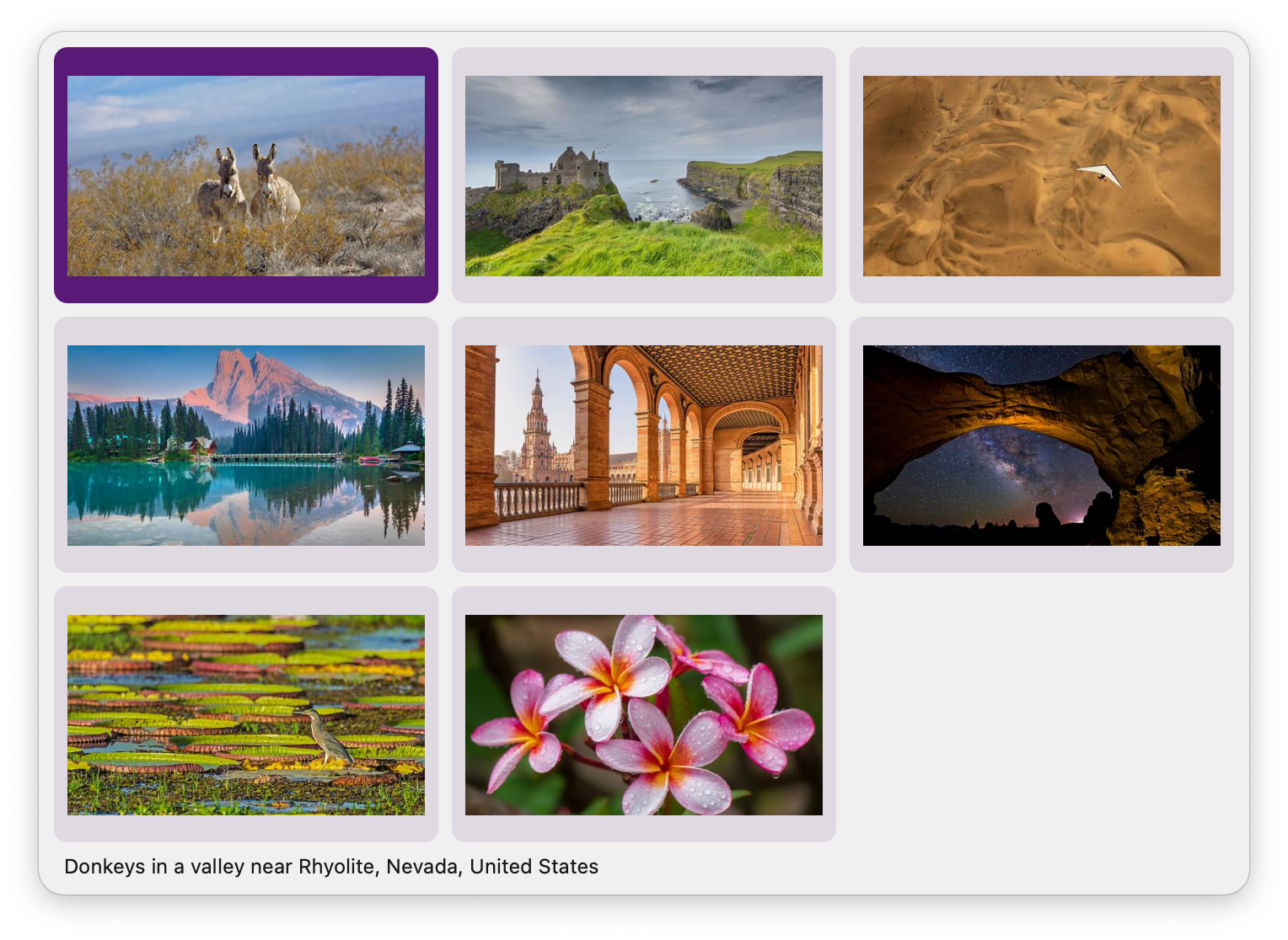 Showing bing wallpapers