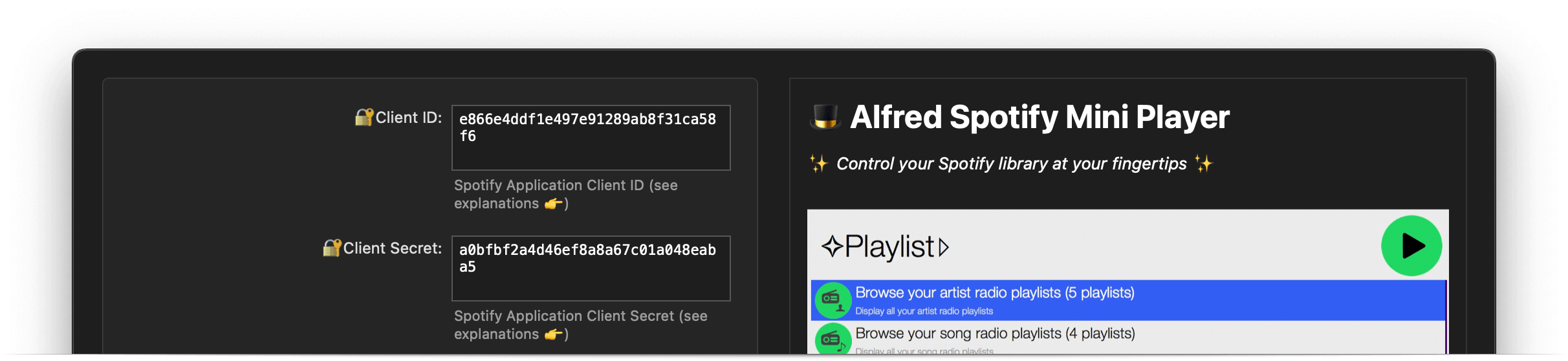 Showing workflow configuration